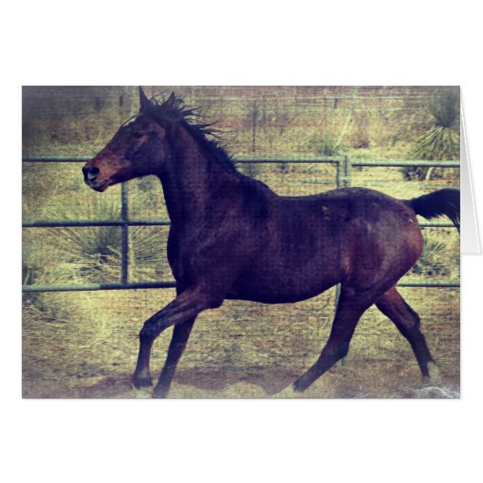 Runde Pen (Vorderseite (Horizontal))