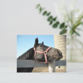 Runde Postkarte (Stehend Vorderseite)