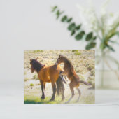 Runde Postkarte (Stehend Vorderseite)