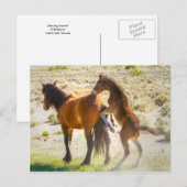 Runde Postkarte (Vorne/Hinten)