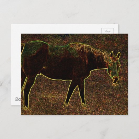 Runde Postkarte (Vorne/Hinten)