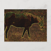 Runde Postkarte (Vorderseite)