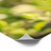 Runde Robin auf einer Zweigniederlassung Poster (Ecke)