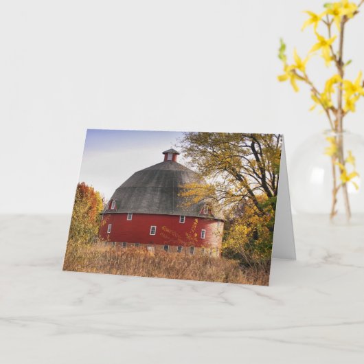 Runde Scheune Karte (Gelbe Blume)