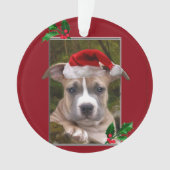 Runde Verzierung WeihnachtenPitbull Welpen Ornament (Vorderseite)