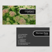 Runded Edge Tag - Sedum "Herbstfreude" (Vorne/Hinten)