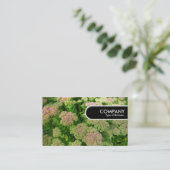 Runded Edge Tag - Sedum "Herbstfreude" (Stehend Vorderseite)