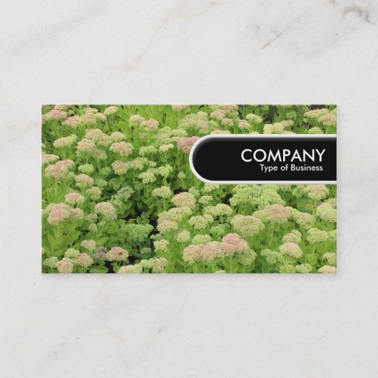 Runded Edge Tag - Sedum (Herbstfreude) (Vorderseite)