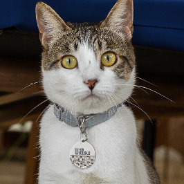 Runden des blauen und rosa Halbjahrhunderts Haustiermarke