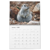 Runder angebundener Grundeichhörnchen-Kalender Kalender (Jan 2027)