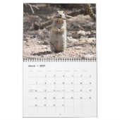 Runder angebundener Grundeichhörnchen-Kalender Kalender (Mär 2027)