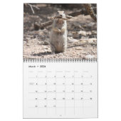 Runder angebundener Grundeichhörnchen-Kalender Kalender (Mär 2026)