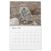 Runder angebundener Grundeichhörnchen-Kalender Kalender (Feb 2026)