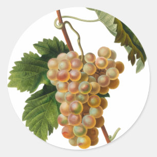 Runder Aufkleber Chasselat Des Fontainebleau
