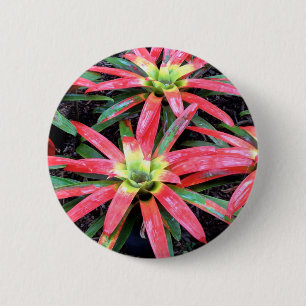 Runder Button der hawaiianischen Blume