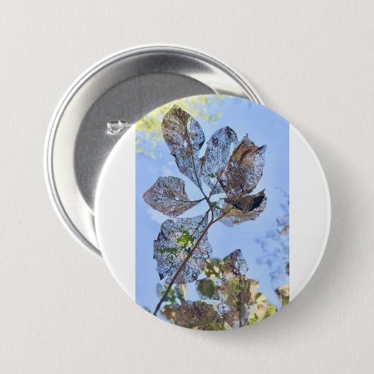 Runder Button für Murugi-Boote (Vorne & Hinten)