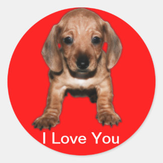 Runder Calcomanía teckel Runder Aufkleber