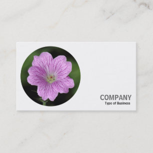 Runder Foto - Geranium Visitenkarte