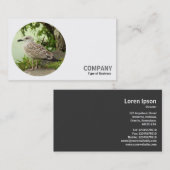 Runder Foto - Junge Heringsmöwe Visitenkarte (Vorne/Hinten)