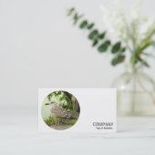 Runder Foto - Junge Heringsmöwe Visitenkarte (Stehend Vorderseite)