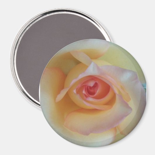 runder Foto Magnet (Vorderseite/Rückseite)