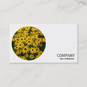 Runder Foto - Rudbeckias Visitenkarte