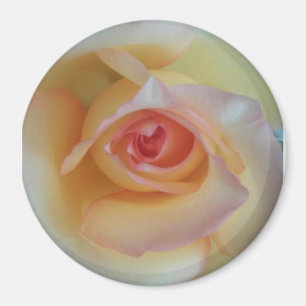 runder Fotomagnet Magnet