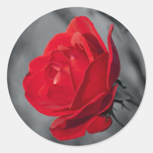 Runder Kleber mit roter Rose Aufkleber