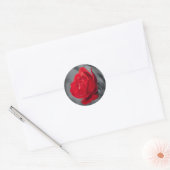 Runder Kleber mit roter Rose Aufkleber (Umschlag)