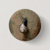 Runder Knopf der Schnecke Button (Vorderseite)