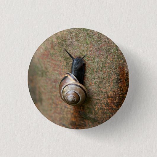 Runder Knopf der Schnecke Button (Vorderseite)