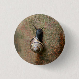 Runder Knopf der Schnecke Button