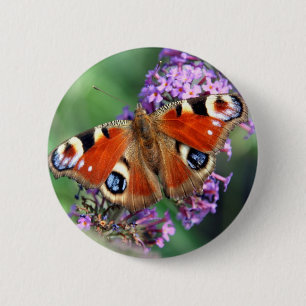 Runder Knopf für Peacock Butterfly Button