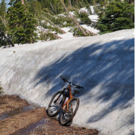 Runder Knopf, riesig, 4 Zoll Button