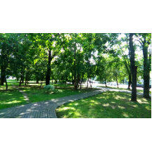 Runder Knopf, riesig, 4 Zoll