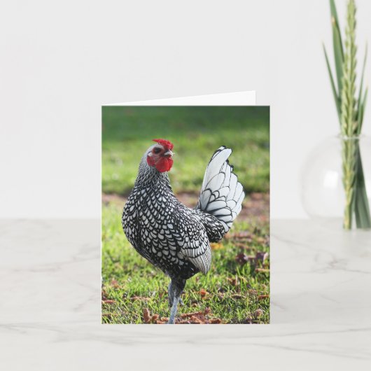 Runder, leere Karte (Vorderseite)