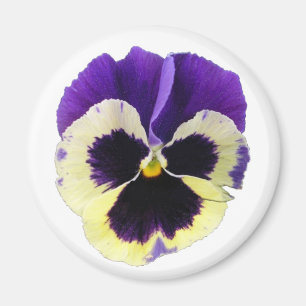 Runder lila und gelber Pansy-Magnet Magnet