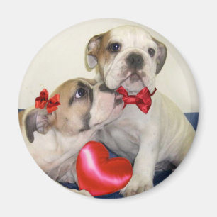 Runder Magnet der Liebe-Bulldoggen