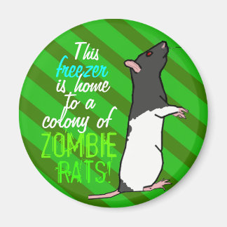 Runder Magnet der Zombie-Ratte (schwarze Haube-Rat