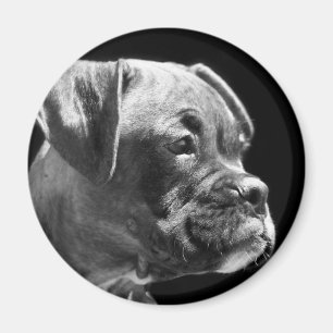 Runder Magnet des Boxerwelpen