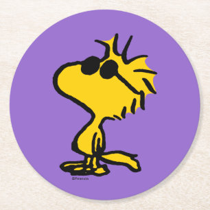  RUNDER PAPPUNTERSETZER