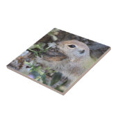 Runder Schwanz-Eichhörnchen Riecht die Blume Fliese (Seite)