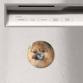 Runder Spitz-Miniaturmagnet Magnet (In Situ (Geschirrspüler))