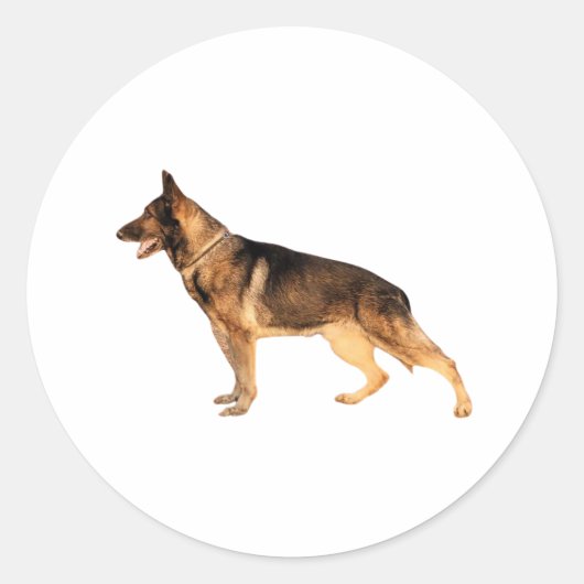 Runder Sticker (Vorderseite)