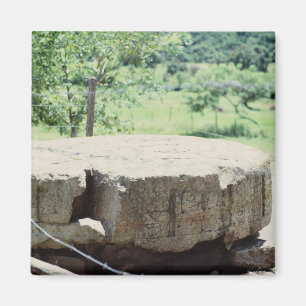 Runder Stone Carved Block Maya Ruins Copan Foto Magnet