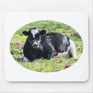 Runderneuerung des Milchkuhkreises Transparenter H Mousepad
