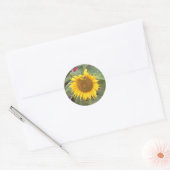 Rundes Aufkleber mit Sonnenblume (Umschlag)