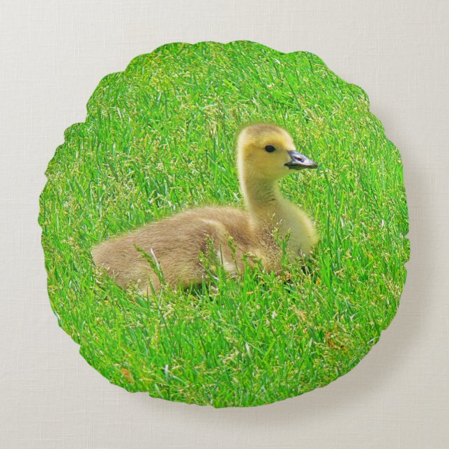 Rundes Kissen  Canada Goose (Vorderseite)