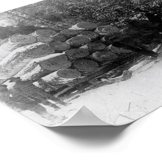 Rundholzverkleidung Poster (Ecke)