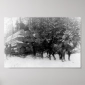 Rundholzverkleidung Poster (Vorne)